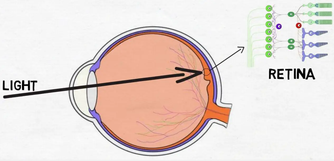 Retina correction
